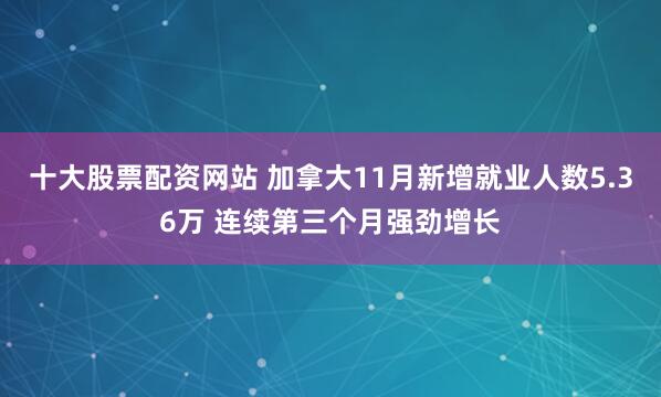 十大股票配资网站 加拿大11月新增就业人数5.36万 连续第三个月强劲增长